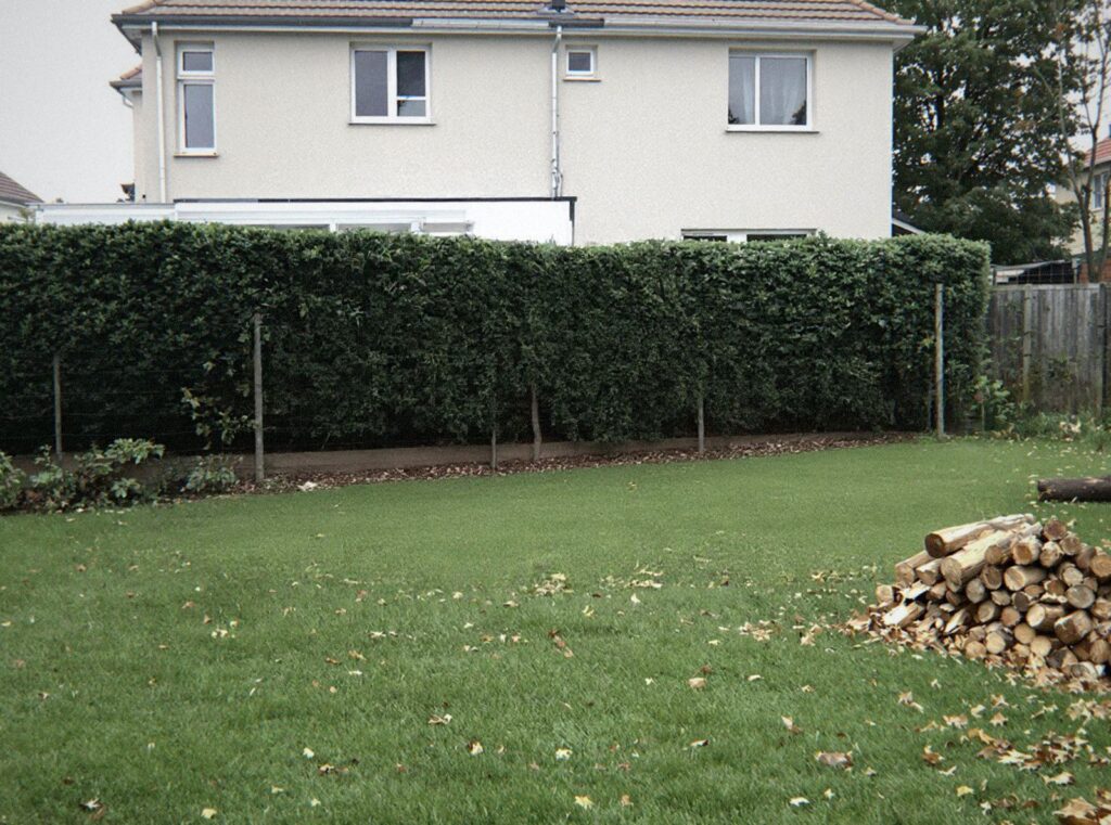 Le même jardin de Bron, pelouse dégagée après l'enlèvement de la benne à déchets verts